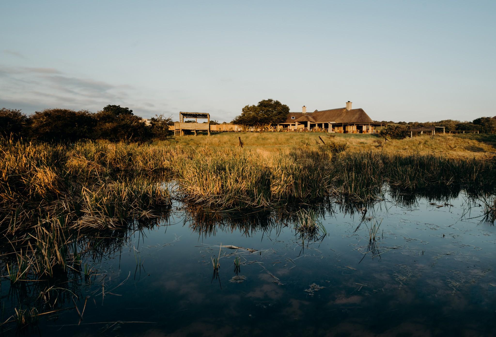 Hlosi Game Lodge - Amakhala Game Reserve Buyskloof Экстерьер фото