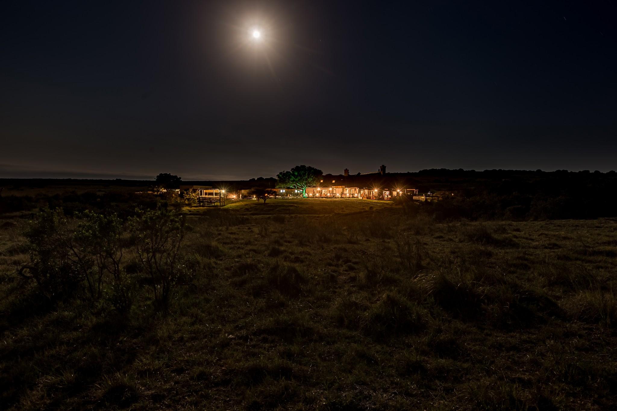 Hlosi Game Lodge - Amakhala Game Reserve Buyskloof Экстерьер фото