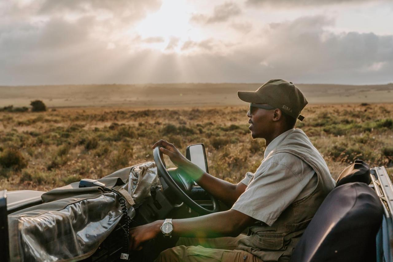 Hlosi Game Lodge - Amakhala Game Reserve Buyskloof Экстерьер фото