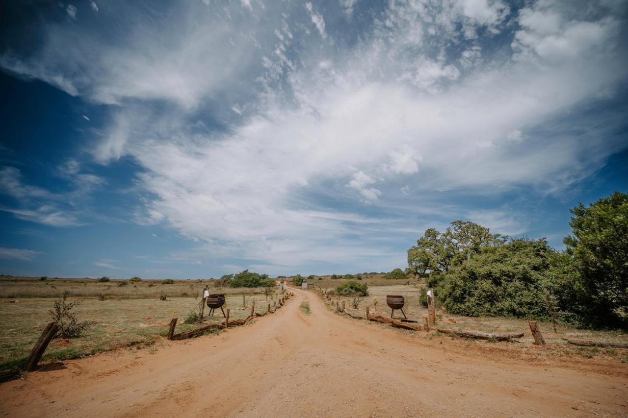 Hlosi Game Lodge - Amakhala Game Reserve Buyskloof Экстерьер фото