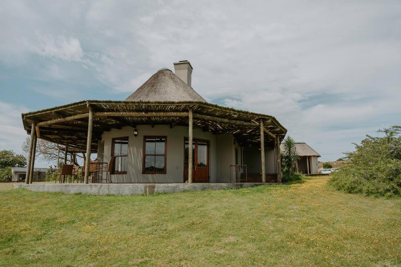 Hlosi Game Lodge - Amakhala Game Reserve Buyskloof Экстерьер фото