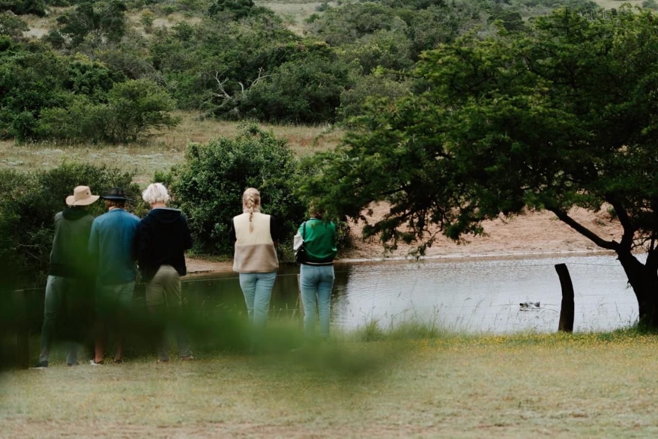 Hlosi Game Lodge - Amakhala Game Reserve Buyskloof Экстерьер фото