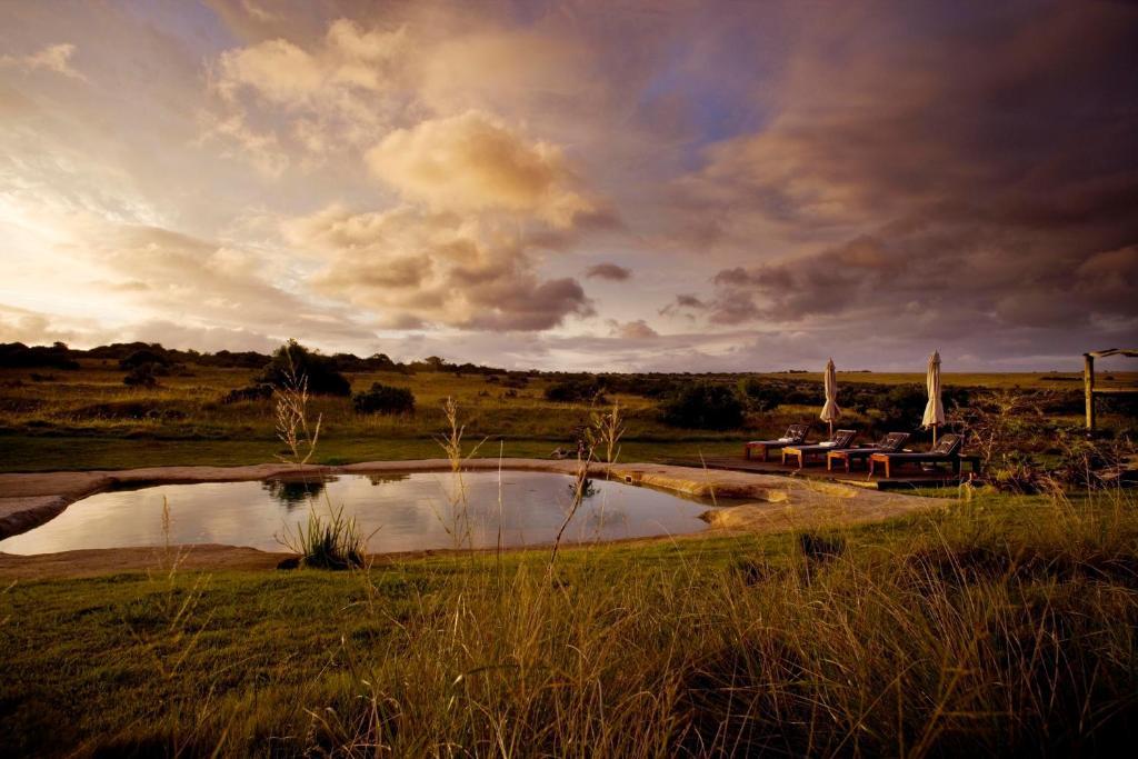 Hlosi Game Lodge - Amakhala Game Reserve Buyskloof Экстерьер фото