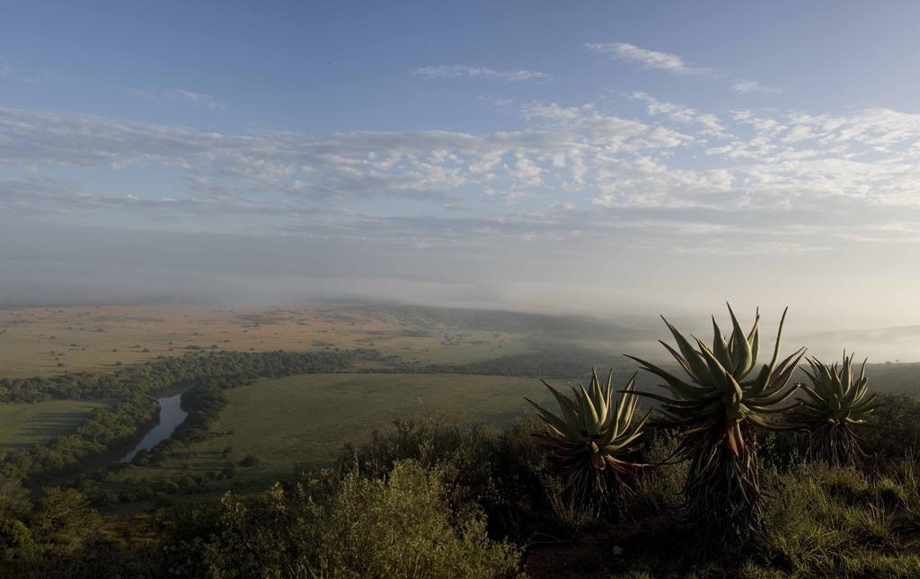 Hlosi Game Lodge - Amakhala Game Reserve Buyskloof Экстерьер фото