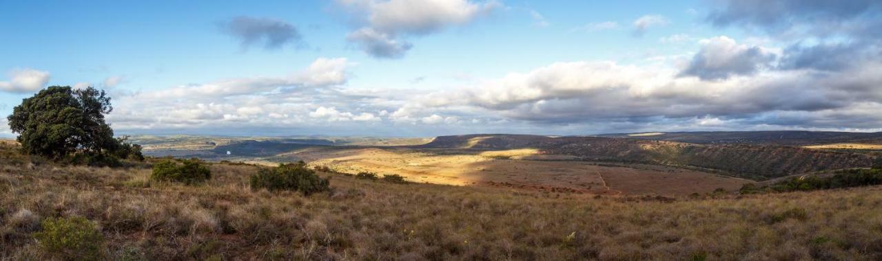 Hlosi Game Lodge - Amakhala Game Reserve Buyskloof Экстерьер фото